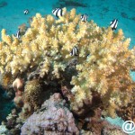 egypte 2