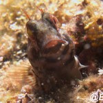 DSC00402_Fotor 2