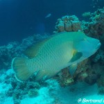 DSC00577_Fotor 2