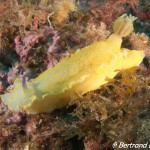 _DSC0797_Fotor 2