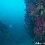 _DSC0821_Fotor