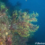 _DSC0908_Fotor