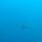 DSCN0349