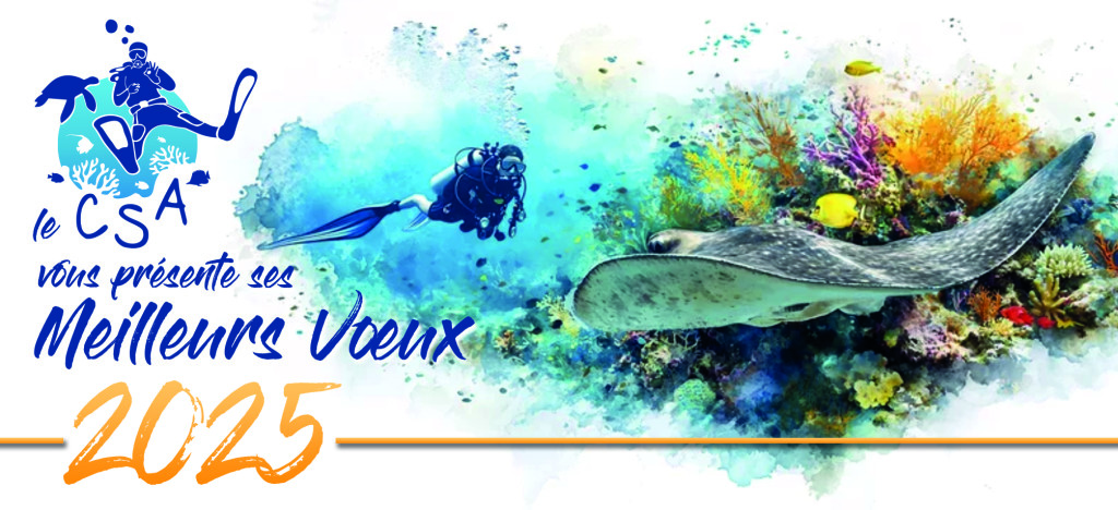 csa_Voeux25c