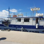 IMG-20250511-WA0027