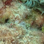 IMG-20260530-WA0027