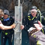 IMG-20260530-WA0164