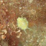 IMG-20260530-WA0226