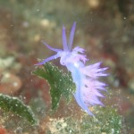 IMG-20260530-WA0228