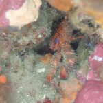 IMG-20260530-WA0229