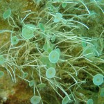 IMG-20260530-WA0237