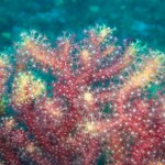 IMG-20260531-WA0020