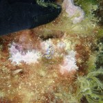 IMG-20260531-WA0024