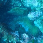 IMG-20260531-WA0050