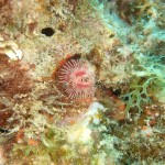 IMG-20260531-WA0059