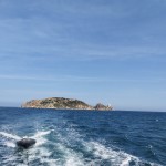 IMG-20260531-WA0063