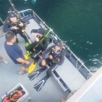 IMG-20260531-WA0117