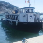 IMG-20260531-WA0130