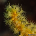 IMG-20260531-WA0204