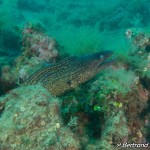 IMG-20260531-WA0205