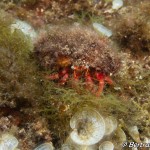 IMG-20260531-WA0207