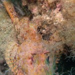 IMG-20260531-WA0211