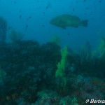 IMG-20260531-WA0218