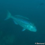 IMG-20260531-WA0219