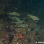 IMG-20260531-WA0221