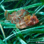 IMG-20260531-WA0226