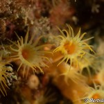 IMG-20260531-WA0228