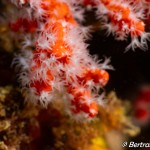 IMG-20260531-WA0229
