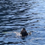 IMG-20260614-WA0034