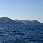 IMG-20260818-WA0030
