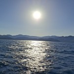 IMG-20260818-WA0031